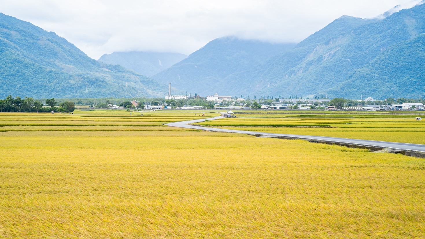 Handel zwischen Vietnam und GCC: Chancen und Herausforderungen